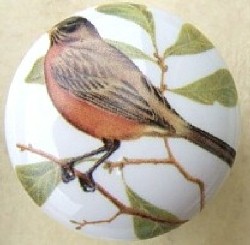 CERAMIC CABINET KNOB ROBIN