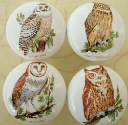 CERAMIC CABINET KNOB OWL OWLS