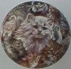 CERAMIC CABINET KNOB CAT CATS KITTEN TABBY CALICO MAINE COON HIMILAYAN SIAMESE BLACK