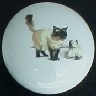 CERAMIC CABINET KNOB CAT CATS KITTEN HIMILAYAN 