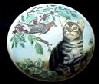 CERAMIC CABINET KNOB CAT CATS KITTEN TABBY 