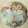 CERAMIC CABINET KNOB CAT CATS KITTEN TABBY CALICO 