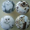 CERAMIC CABINET KNOB CAT CATS KITTEN TABBY CALICO 