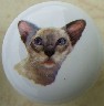 CERAMIC CABINET KNOB CAT CATS KITTEN SIAMESE 