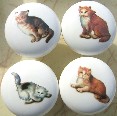 CERAMIC CABINET KNOB CAT CATS KITTEN TABBY CALICO 