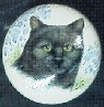 CERAMIC CABINET KNOB CAT CATS KITTEN TABBY BLACK