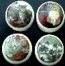 CERAMIC CABINET KNOB CAT CATS KITTEN TABBY CALICO Patio Kittens