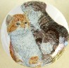 Cabinet knob Cute Kittens
