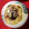 cabinet knob chow chow