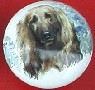 www.knobsrusny.com Airedale afghan cabinet knobs