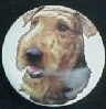 cabinet knob airedale