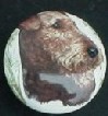 cabinet knob airedale