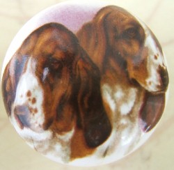 cabinet knob basset hounds