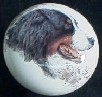 cabinet knob bernese mountain dog