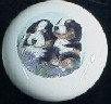 cabinet knob bernese mountain dog
