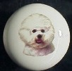 cabinet knob bichon frise