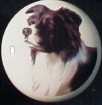 cabinet knob border collie