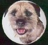 cabinet knob border terrier