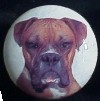 cabinet knob boxer