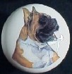cabinet knob boxer