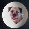 cabinet knob border terrier