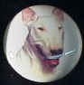 cabinet knob american bull terrier