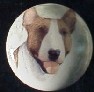 cabinet knob american bull terrier