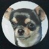 cabinet knob chihuahua black
