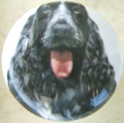 cabinet knob cocker spaniel black