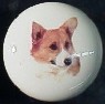 cabinet knob pembrook corgi