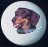 cabinet knob dachshunds black