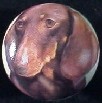 cabinet knob dachshunds red