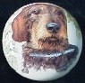 cabinet knob dachshunds wire haired