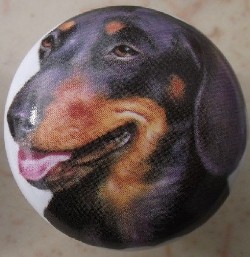 cabinet knob dachshunds black
