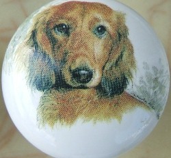 cabinet knob dachshunds long haired