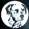cabinet knob dalmation