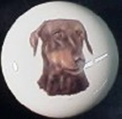 cabinet knob doberman pincer