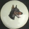 cabinet knob doberman pincer