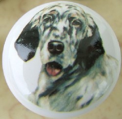 cabinet knob english setter