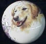 cabinet knob golden retriever