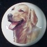 cabinet knob golden retriever