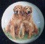 cabinet knob golden retriever