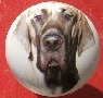 ceramic cabinet knob great dane