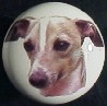 ceramic cabinet knob italian greyhound grayhound