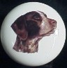 ceramic cabinet knob german shorthair pointer