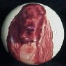 ceramic cabinet knob irish setter