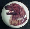 ceramic cabinet knob irish setter