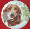ceramic cabinet knob irish setter