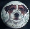ceramic cabinet knob jack russell terrier