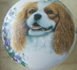ceramic cabinet knob king charles spaniel